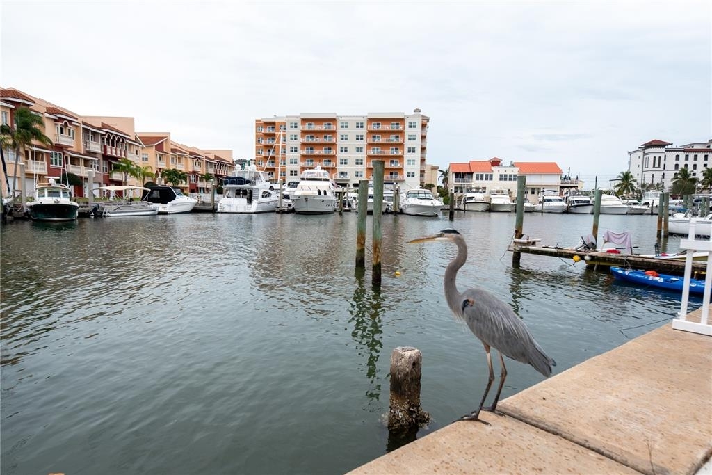 245 Boca Ciega Drive - Photo 22