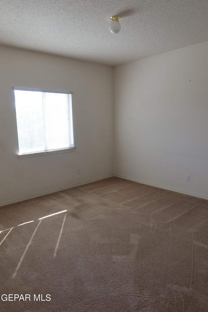 12208 Holy Springs Court - Photo 12