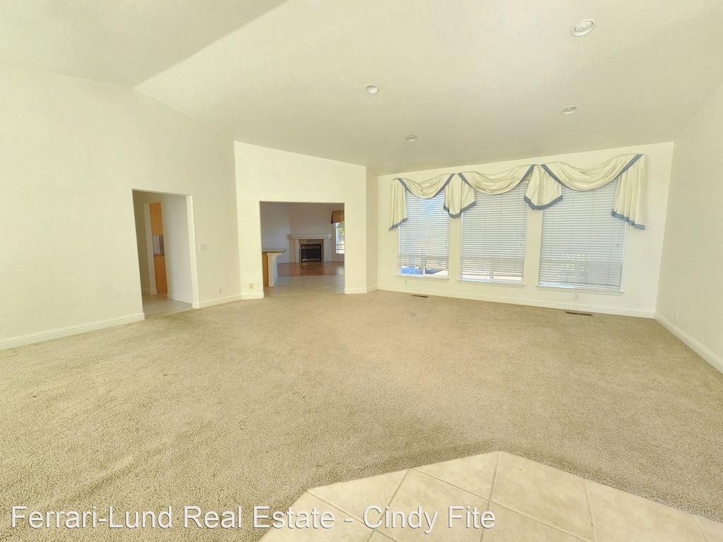 347 Wolf Run Ct - Photo 5