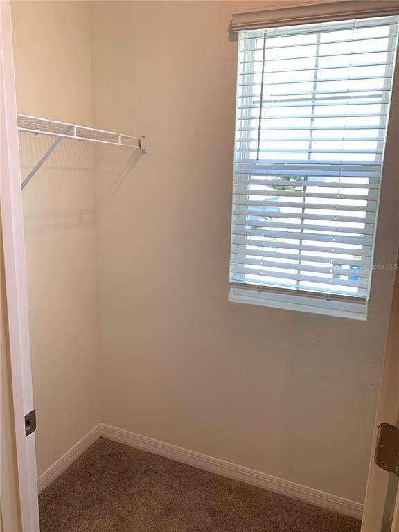 17626 Canopy Place - Photo 23