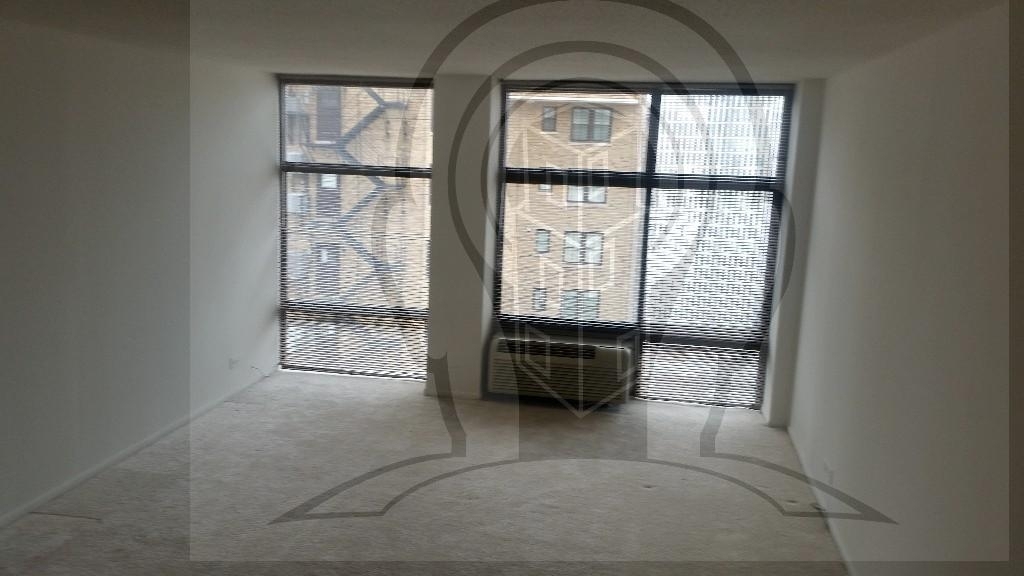 65 E Scott  Chicago, Il. 60610 - Photo 10
