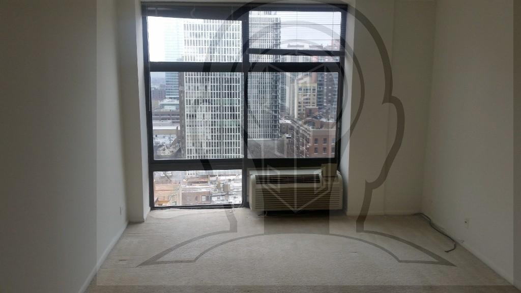 65 E Scott  Chicago, Il. 60610 - Photo 9