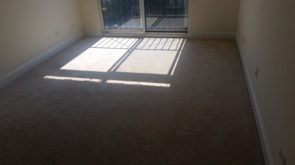 1802 W Belmont - Photo 10