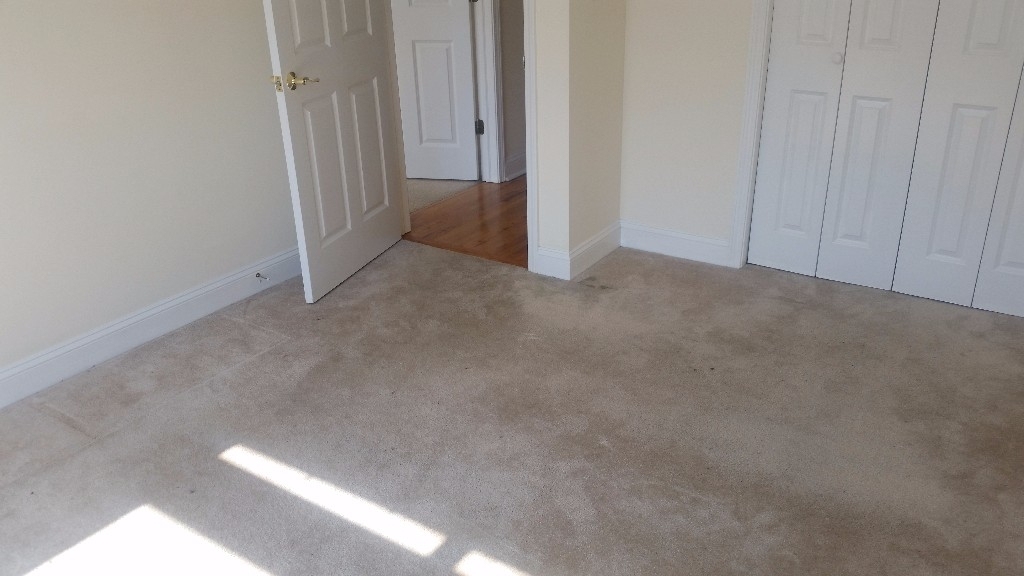 1802 W Belmont - Photo 13