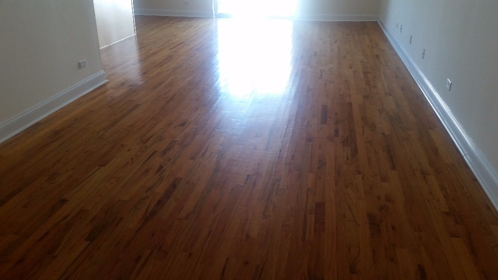 1802 W Belmont - Photo 14