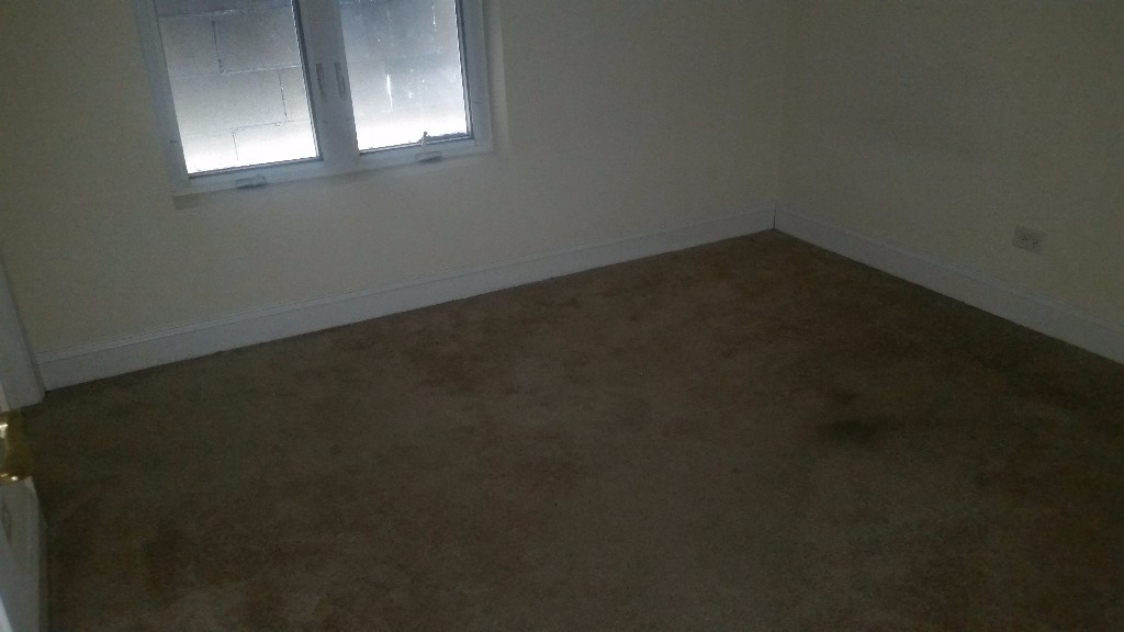 1802 W Belmont - Photo 7