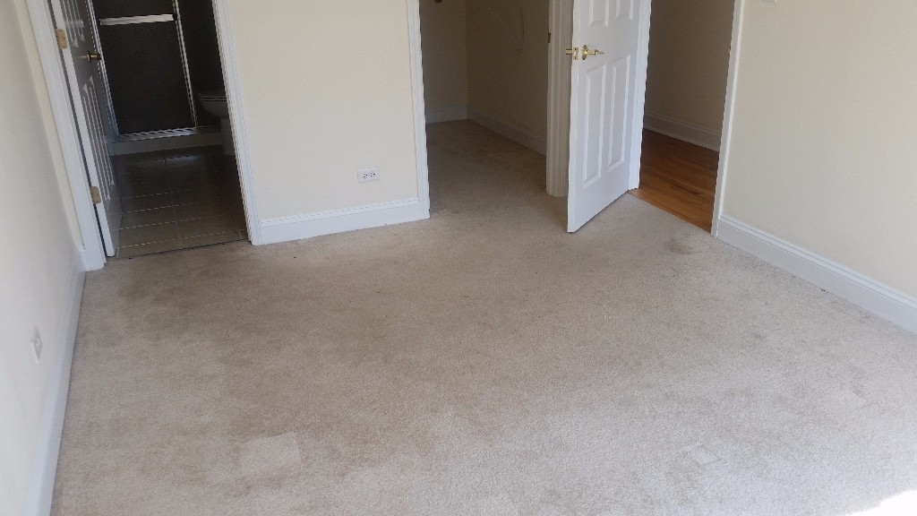 1802 W Belmont - Photo 17