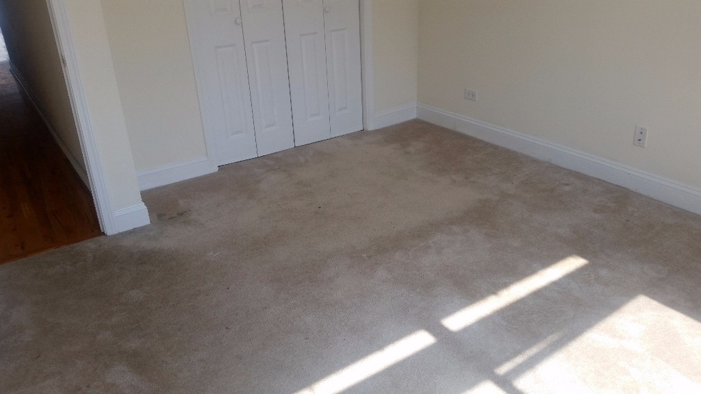 1802 W Belmont - Photo 12