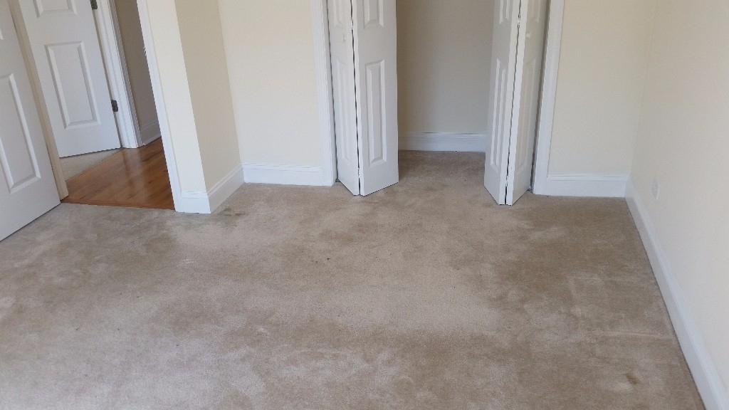 1802 W Belmont - Photo 15