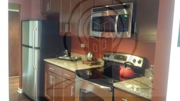 420 E Ohio St. - Photo 1