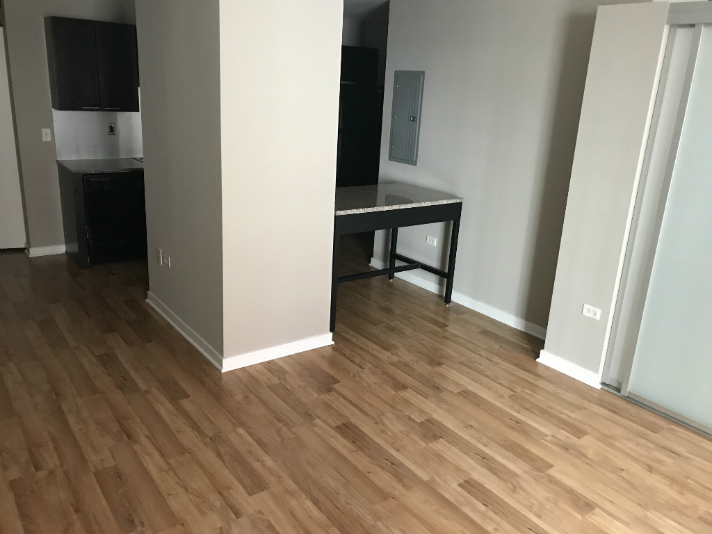 188 W Randolph St. - Photo 12