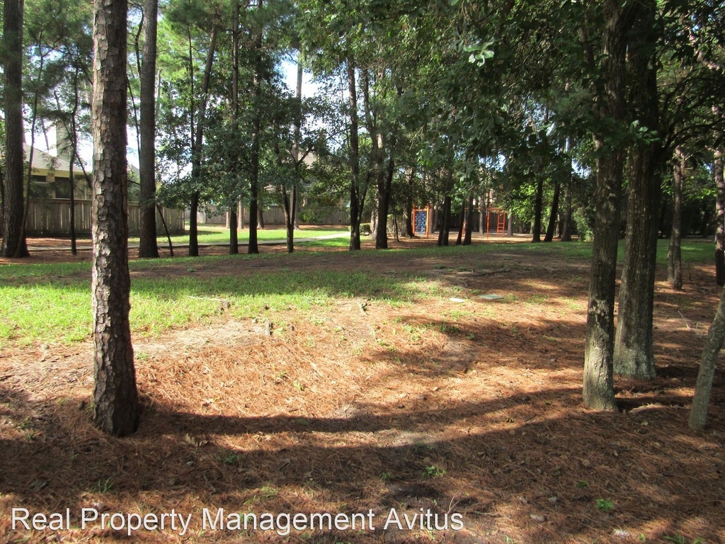 17039 Tallgrass Prairie Lane - Photo 43