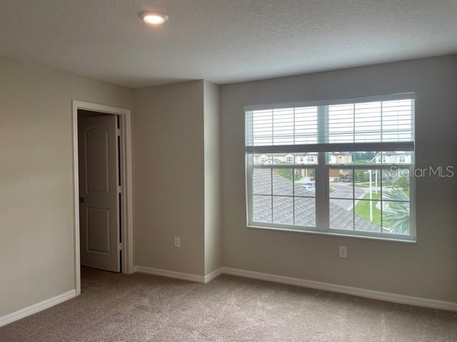 11264 Cay Spruce Way - Photo 14