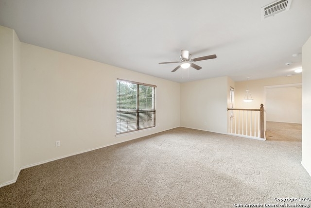 10310 Briar Rose - Photo 29