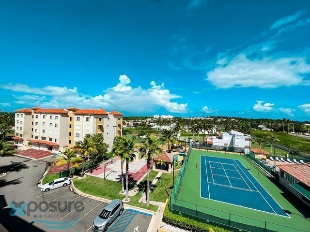 C Royal Palm - Photo 43