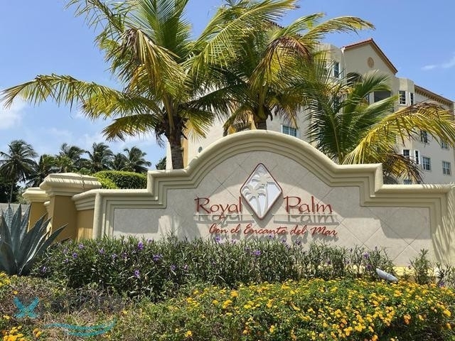 C Royal Palm - Photo 68