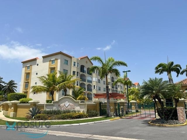 C Royal Palm - Photo 64