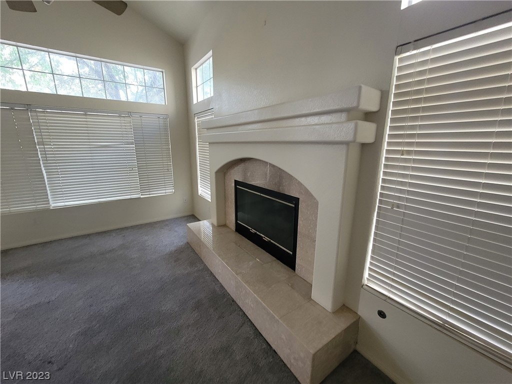 7505 Cobal Canyon Lane - Photo 46