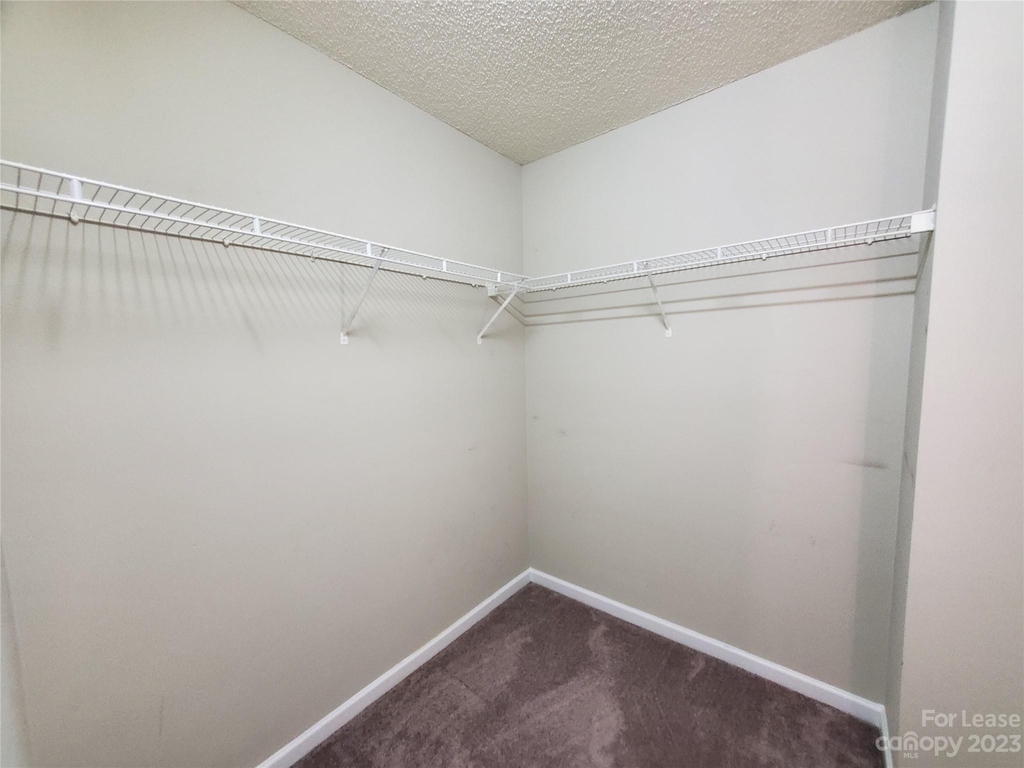 9933 Birch Knoll Court - Photo 13