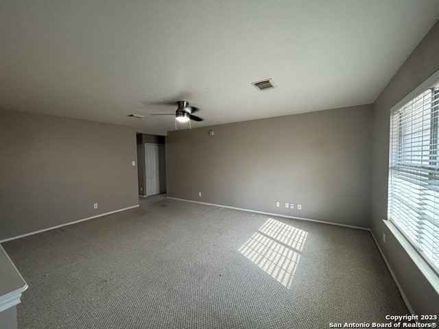 172 Springtree Hollow - Photo 28