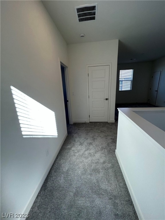 11804 Black Canary Avenue - Photo 17