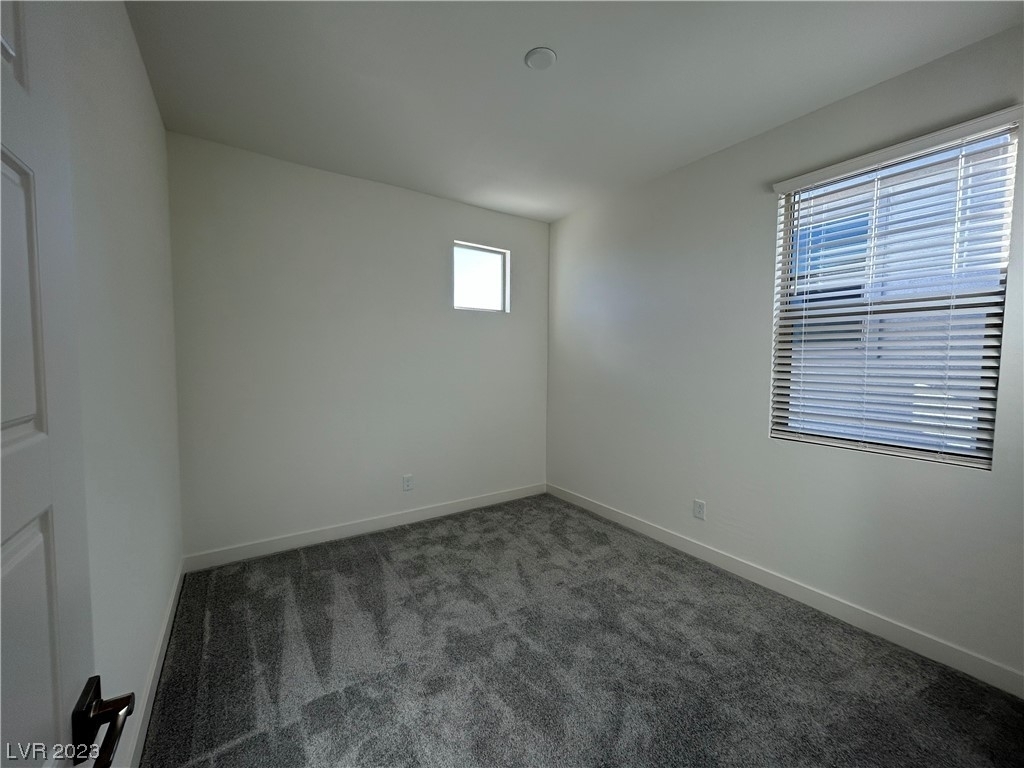 11804 Black Canary Avenue - Photo 27