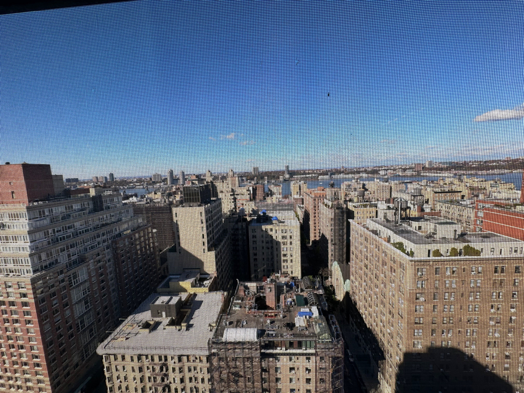247 West 87th Street - Photo 13