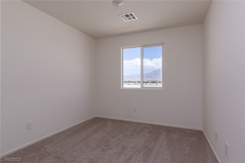 4126 Lunar Canyon Avenue - Photo 10