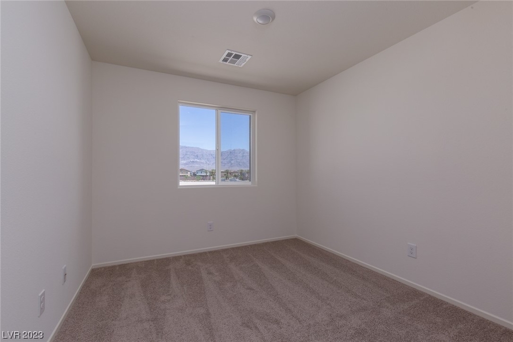 4126 Lunar Canyon Avenue - Photo 11