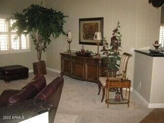 15000 N 88th Avenue - Photo 7