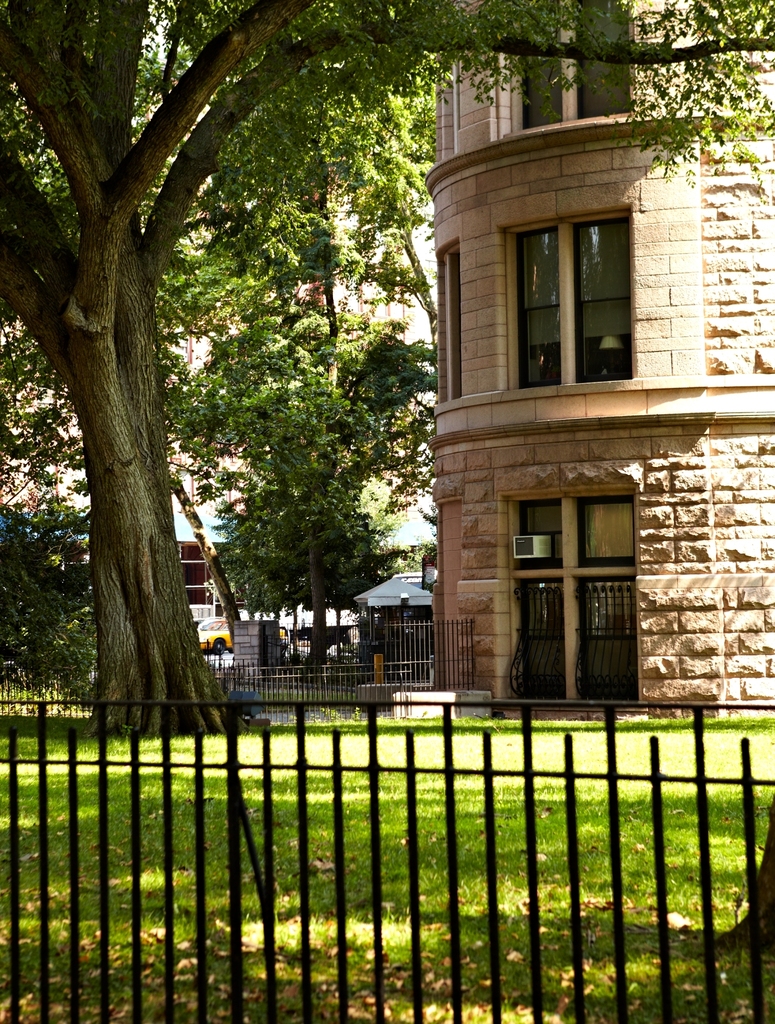 348 West 118th Street - Photo 9