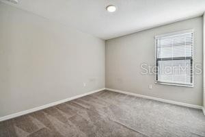 4110 Cat Mint Street - Photo 28