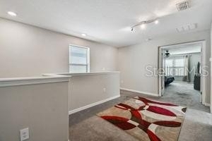 4110 Cat Mint Street - Photo 20