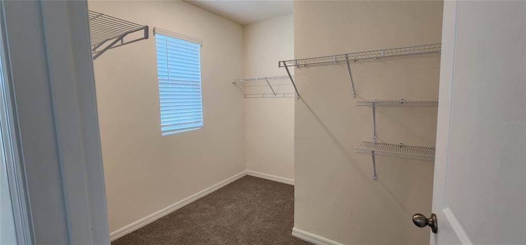 33568 Barberry Leaf Way - Photo 25