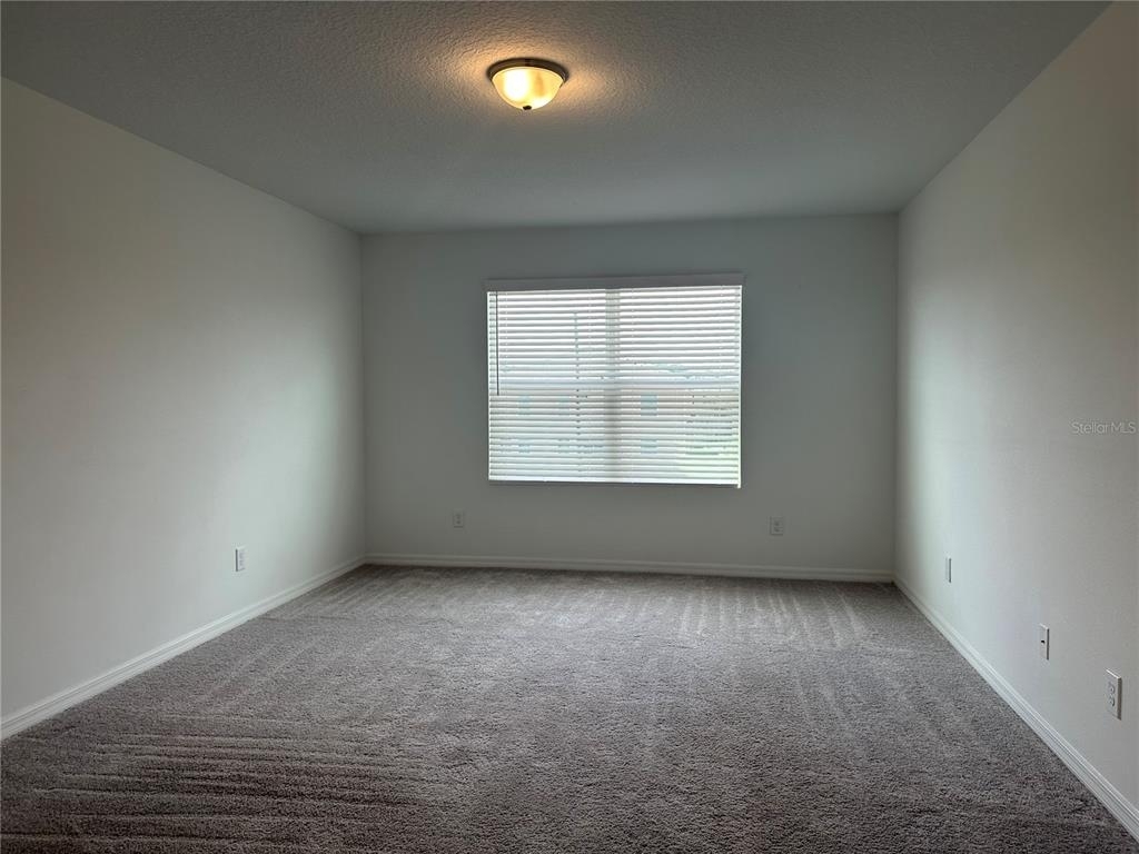 3338 Azolla Street - Photo 13