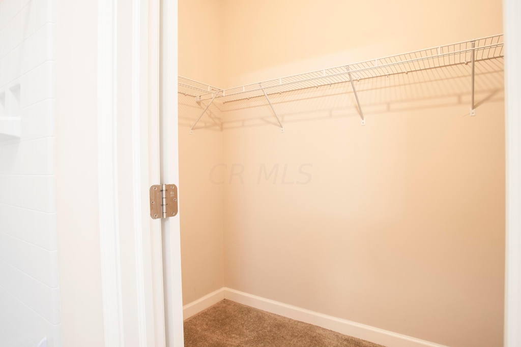 5152 Foxtail Pine St Street - Photo 12