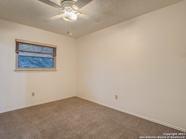 9731 Knob Oak - Photo 12