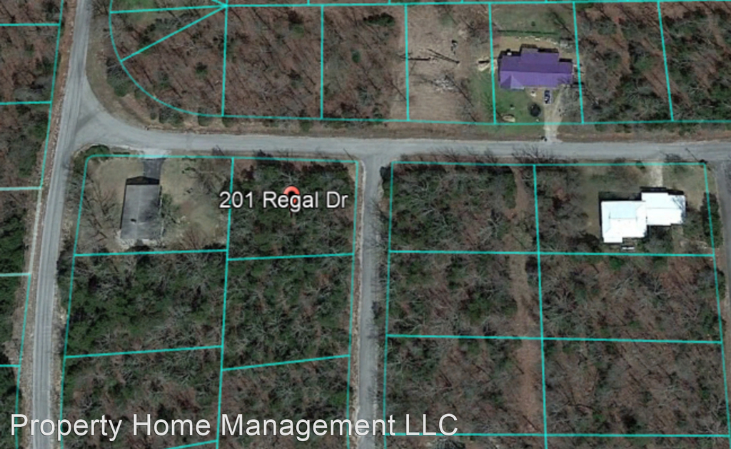 201 Regal Lane - Photo 2