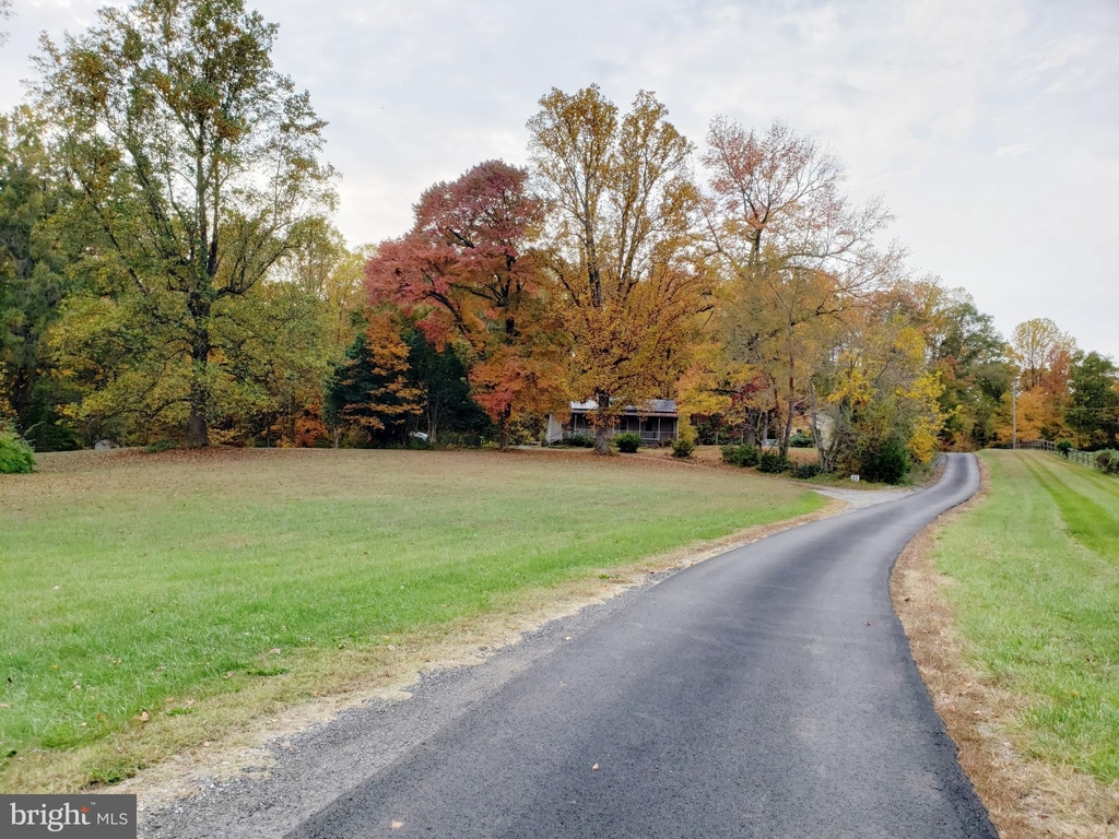 1907 Mountain View Road - Photo 5