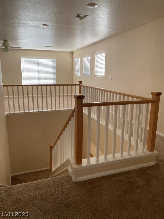 9950 Shadow Grove Avenue - Photo 11