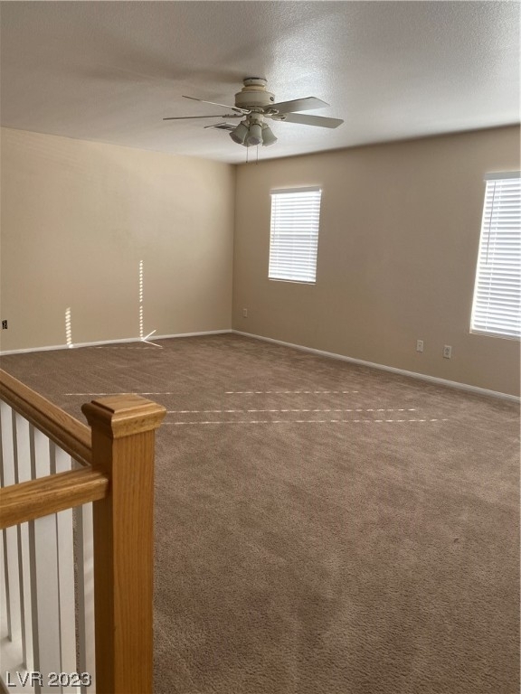 9950 Shadow Grove Avenue - Photo 13