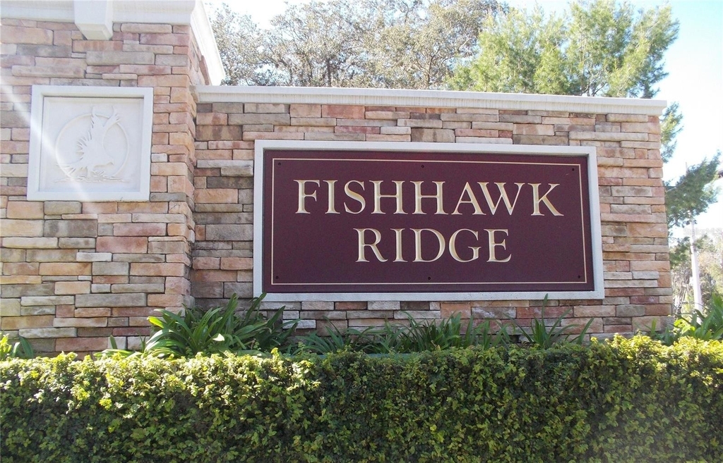 15768 Fishhawk Falls Drive - Photo 10