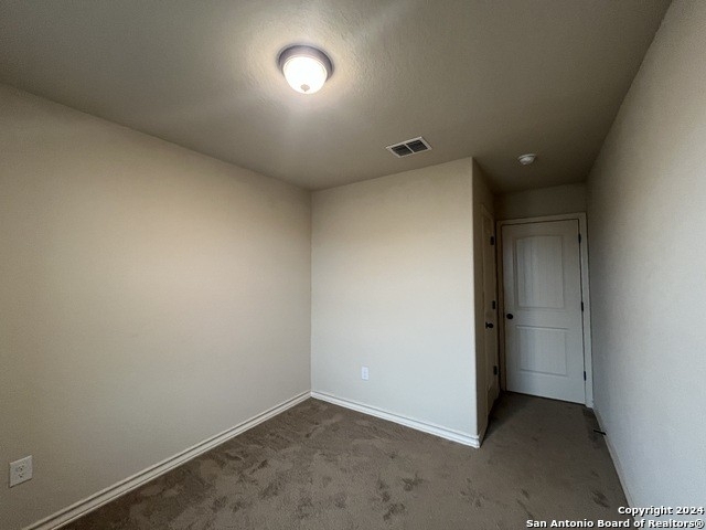 7010 Micayla Cove - Photo 21