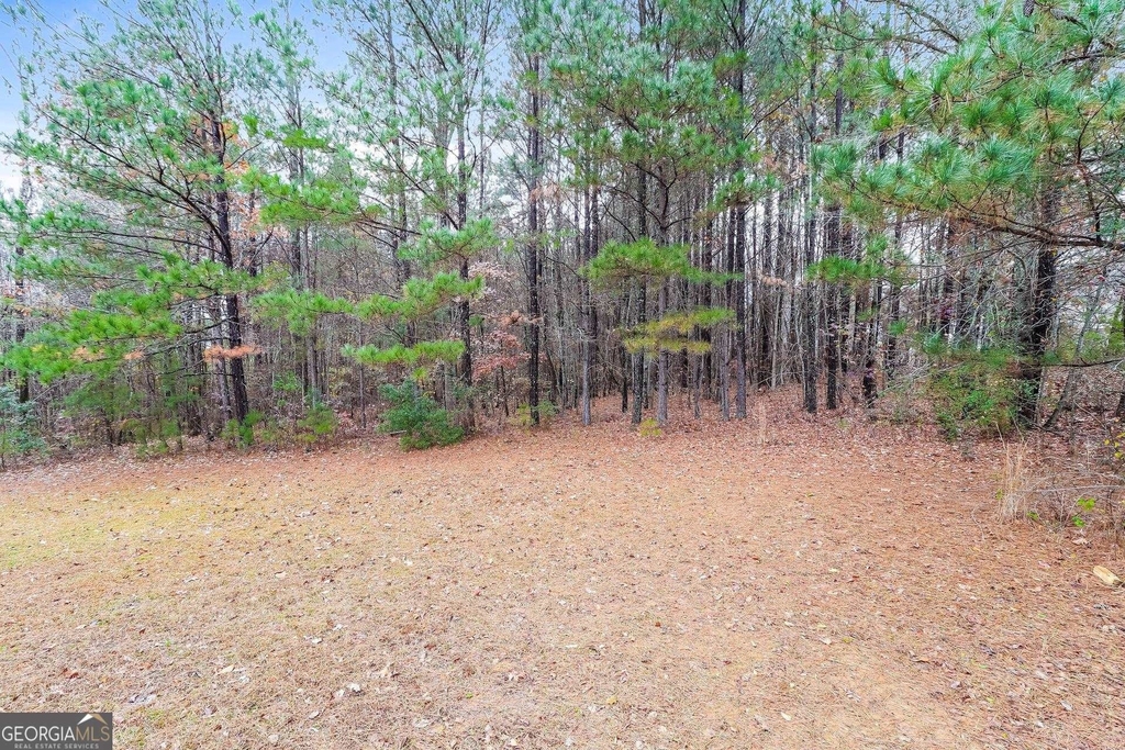 61 Brushy Mountain - Photo 14