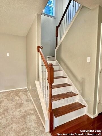 11123 Verbena Path - Photo 7