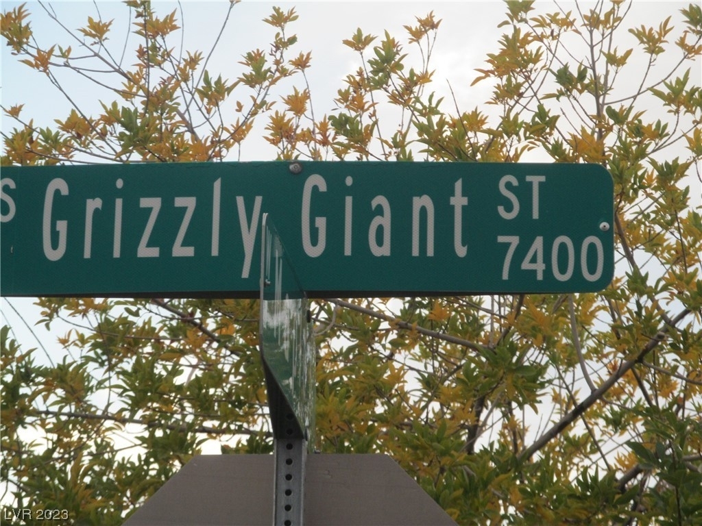 7457 Grizzly Giant Street - Photo 28