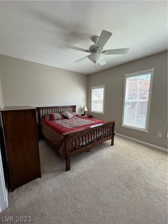 10550 W Alexander Road - Photo 21