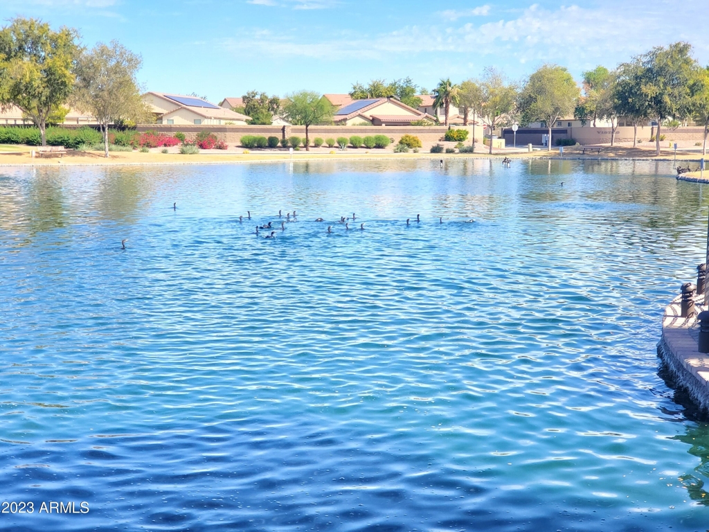 42550 W Candyland Place - Photo 23