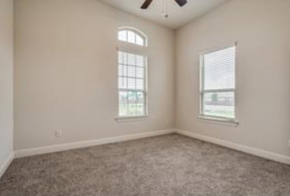 10929 Big Spring Trail - Photo 10