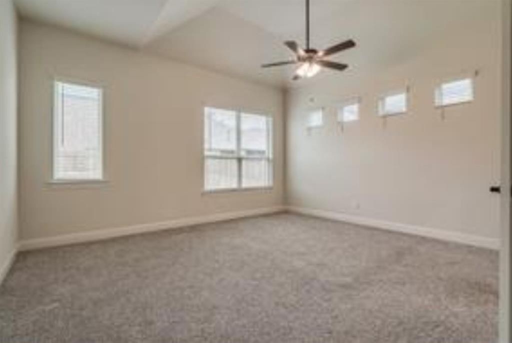 10929 Big Spring Trail - Photo 11